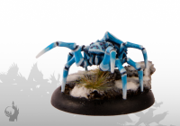 Polarspinne