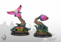Setzlinge (Set 2, 2x)