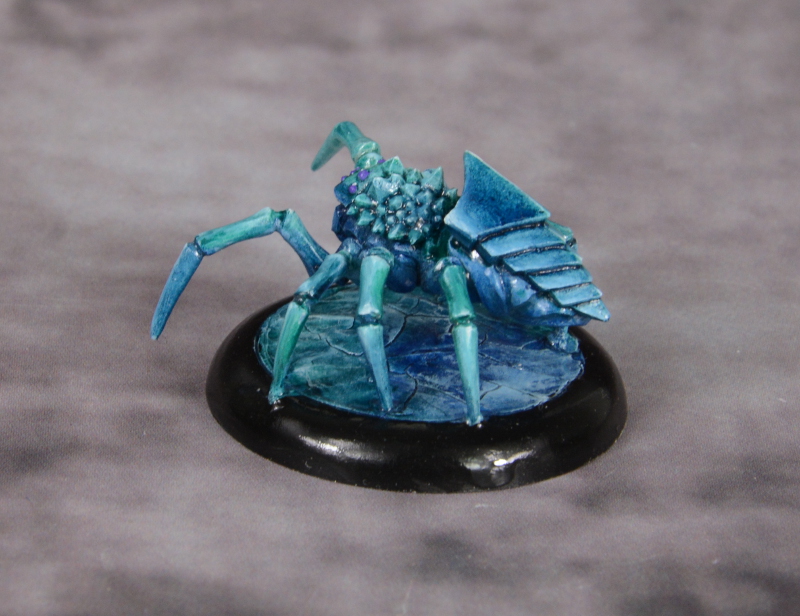 Polarspinne