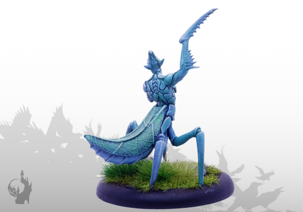 Sichelmantis