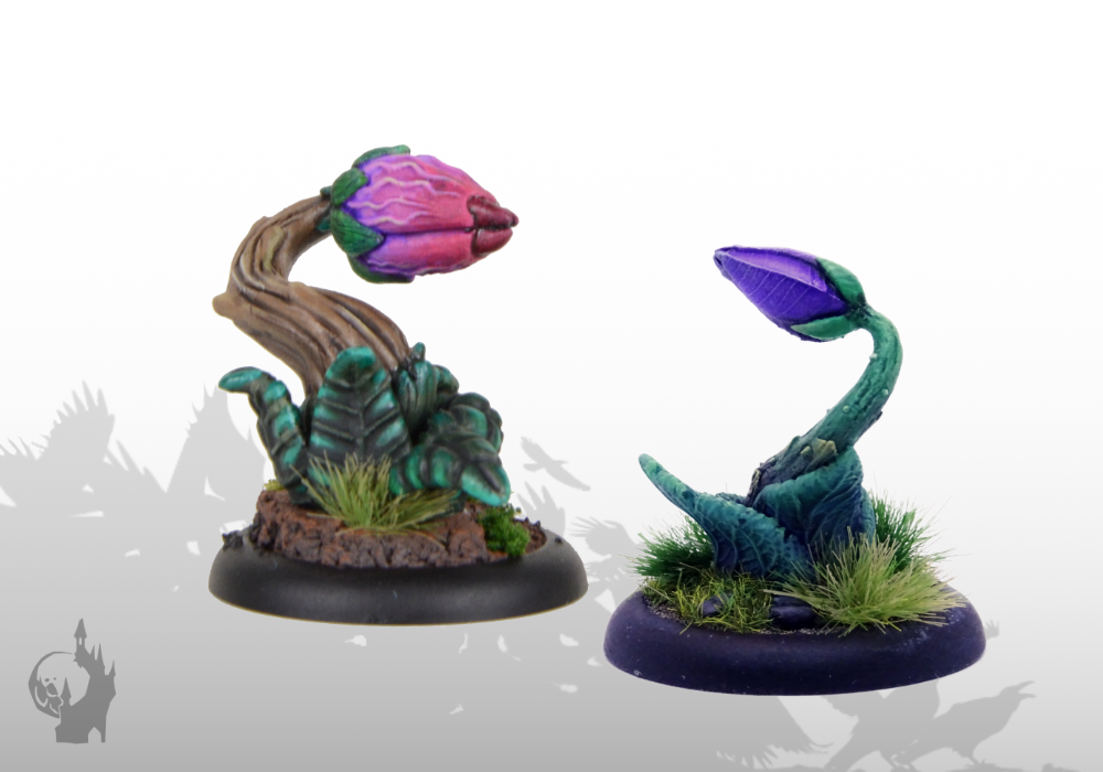 Setzlinge (Set 2, 2x)