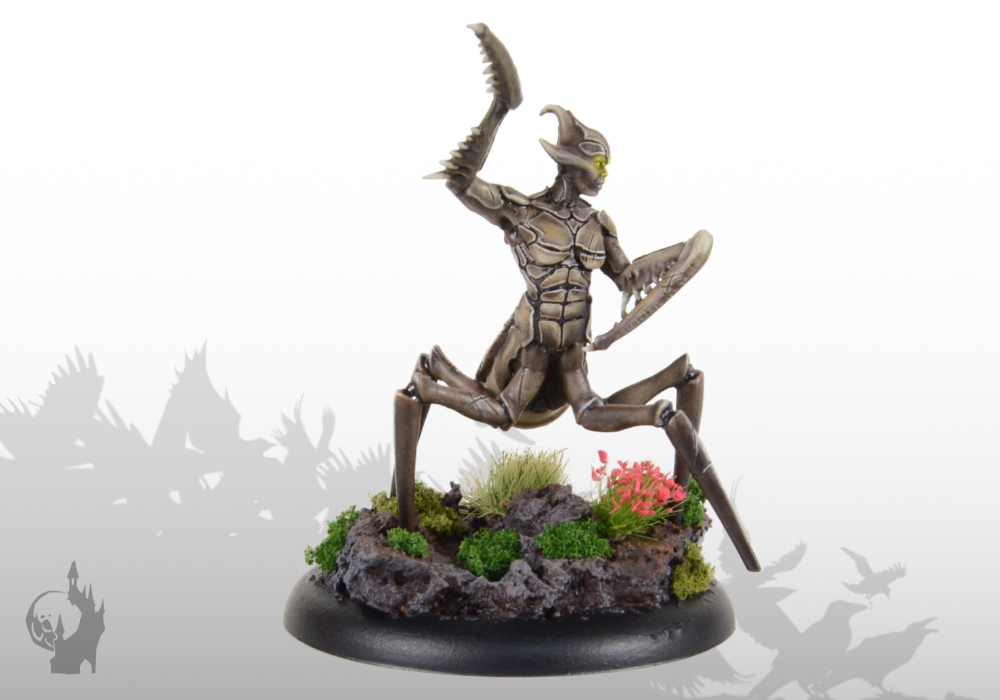 Sichelmantis