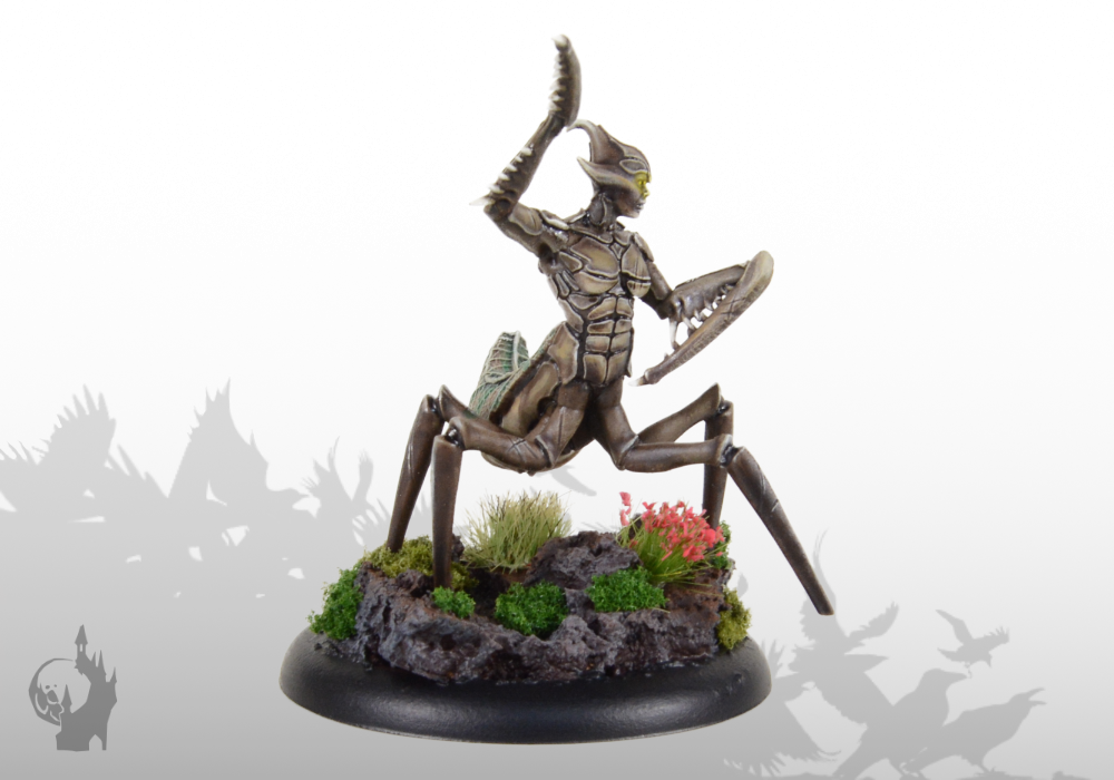 Sichelmantis