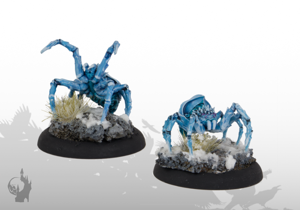 Polarspinnen (2x)