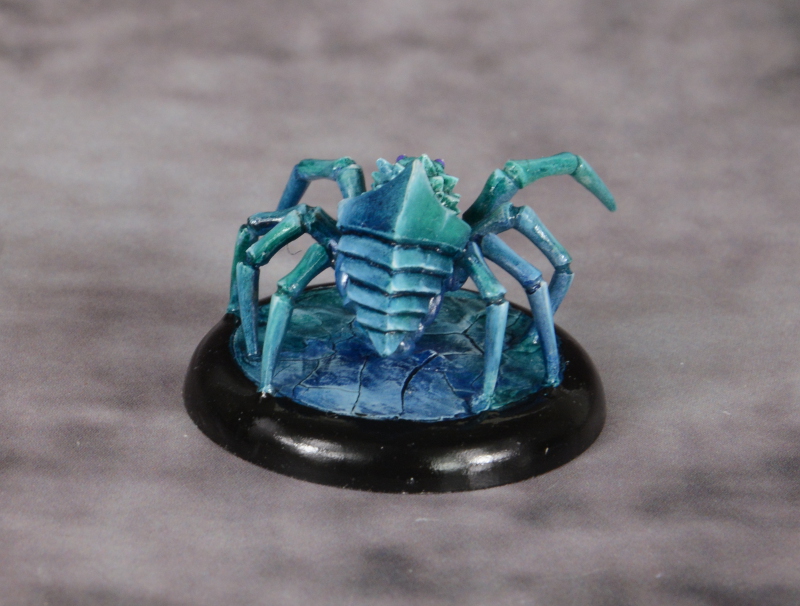 Polarspinne