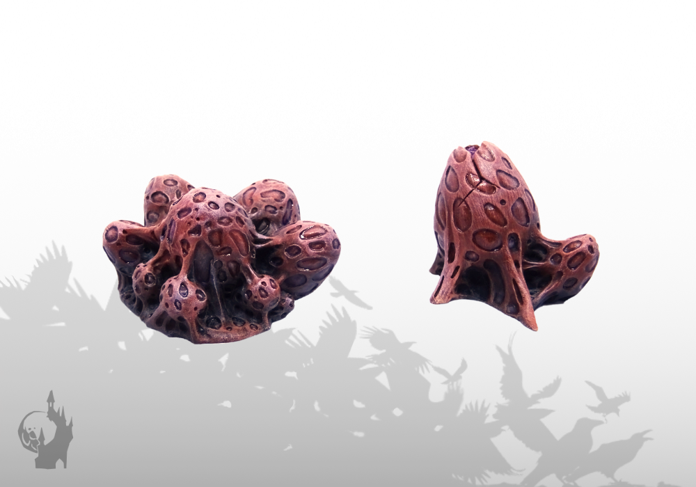Kokons (2x)