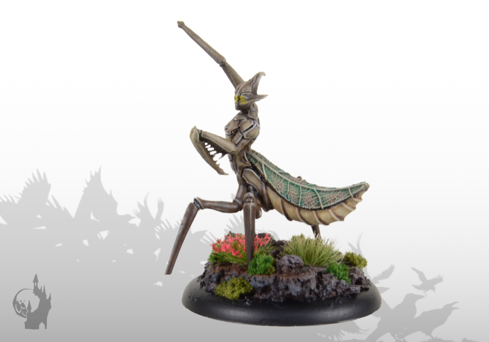 Sichelmantis