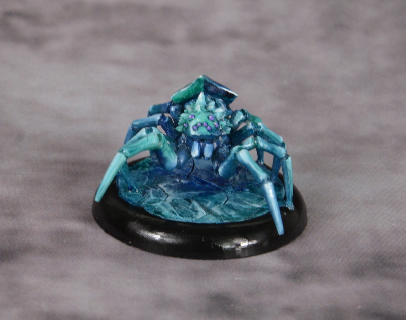 Polarspinne