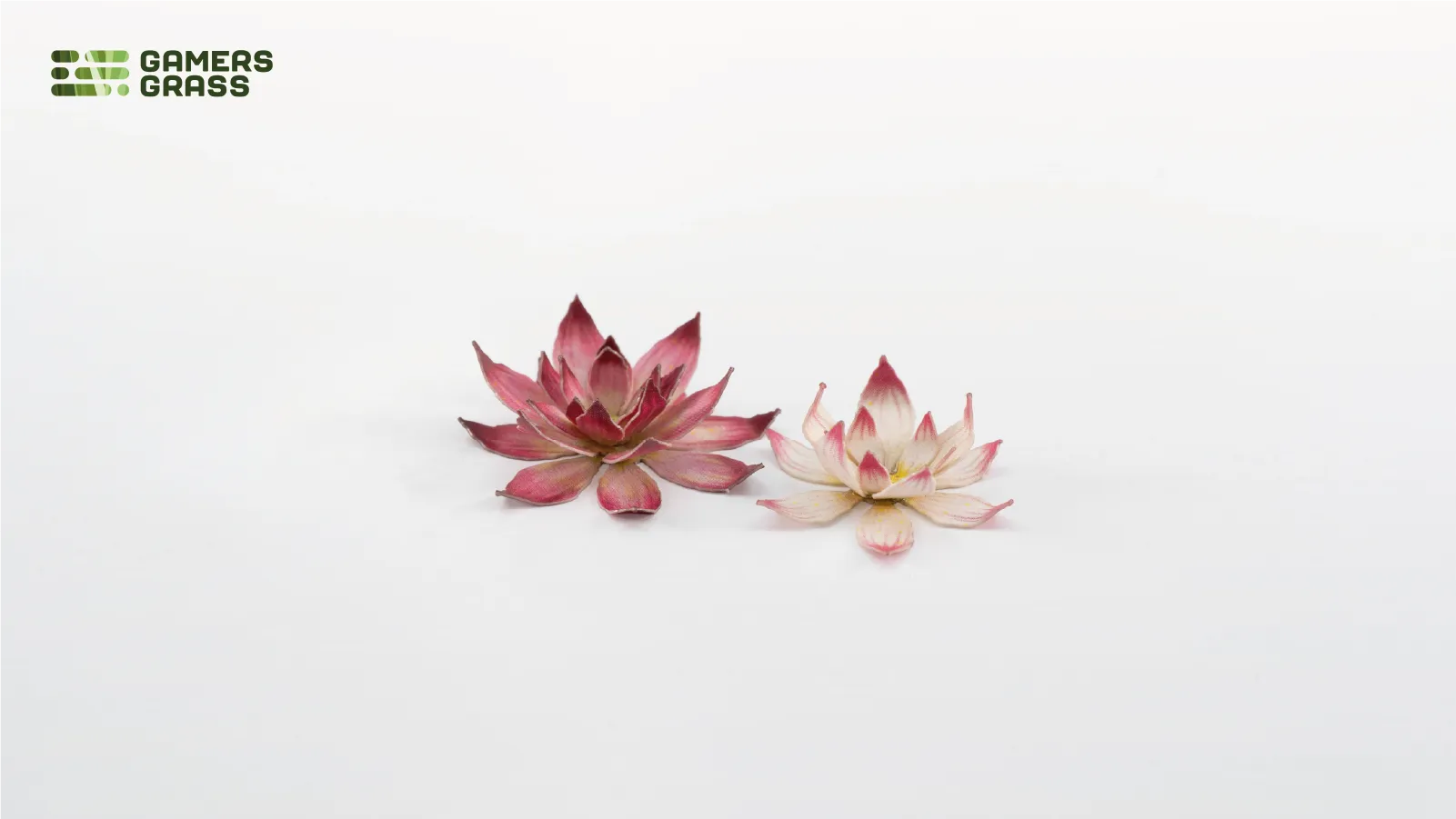 Laser Plants - Lotus flower