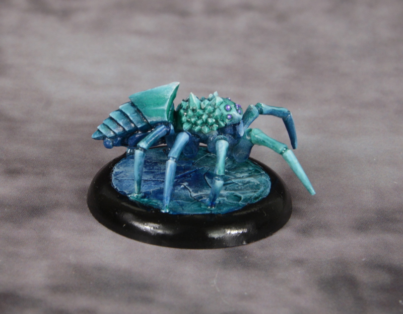 Polarspinne