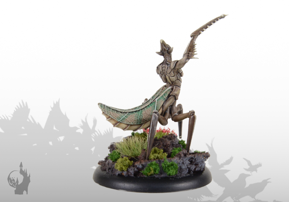 Sichelmantis