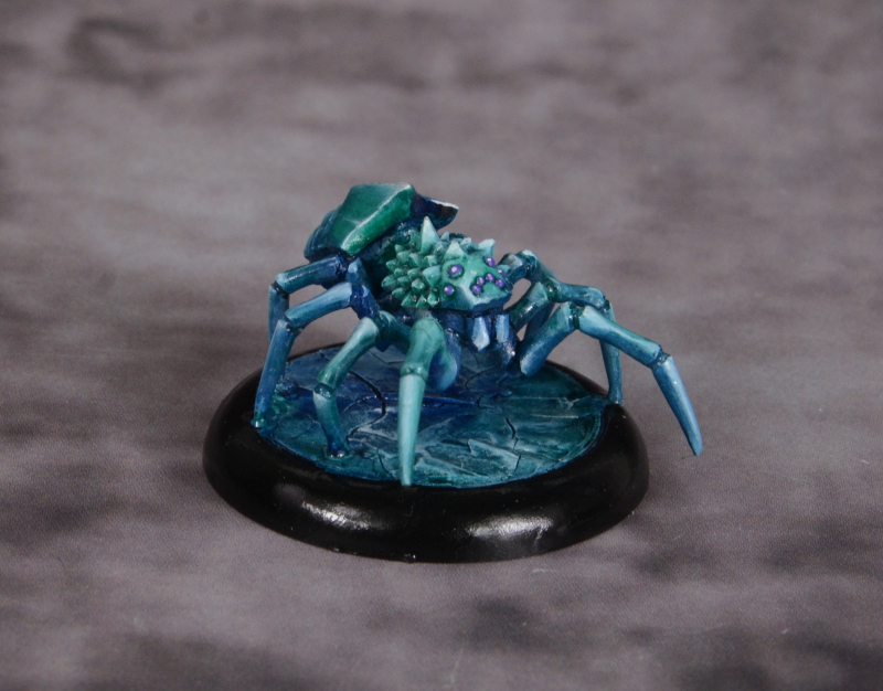 Polarspinne